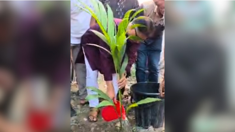 সিদ্ধিরগঞ্জে খাল রক্ষায় উদ্যোগ, বটতলা থেকে গলাকাটা ব্রিজ পর্যন্ত গাছ লাগাল জেলা পরিষদ
